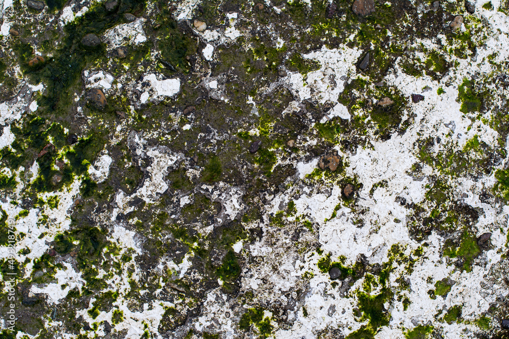 detailed texture