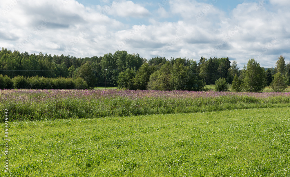 View over green meadows and Agricultural fields along the Swedish countryside View over green meadows and Agricultural fields along the Swedish countryside