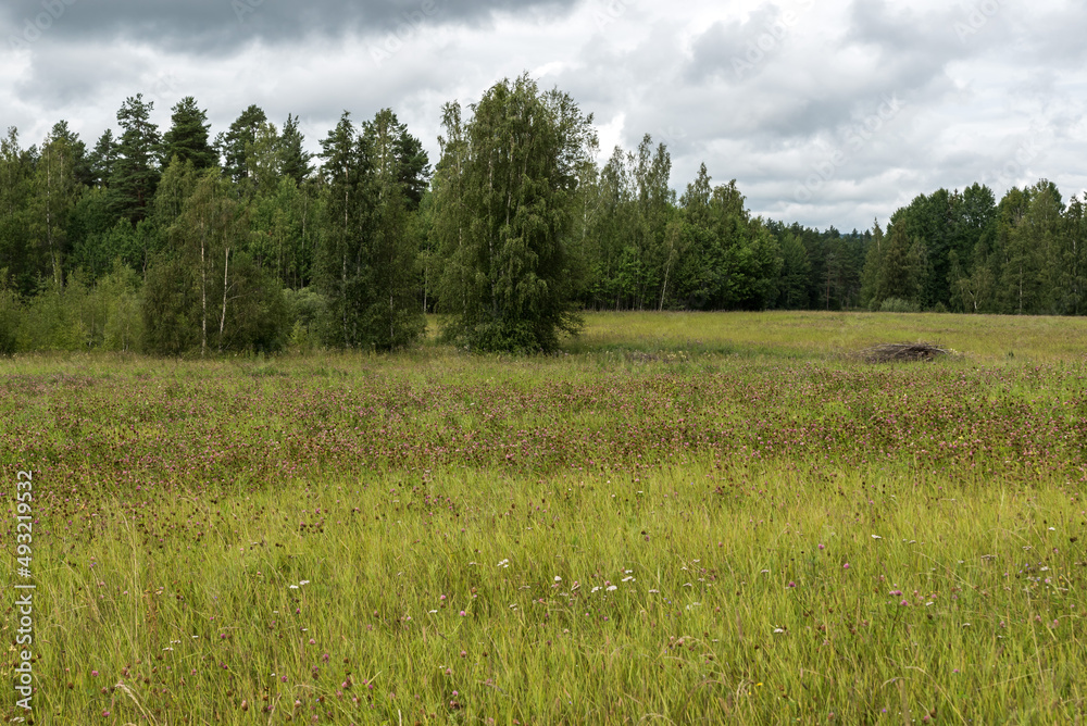 View over the Swedish countryside around Segersta with Agricultural fields, trees, grass and wheetfields View over the Swedish countryside around Segersta with Agricultural fields, trees, grass and wheetfields