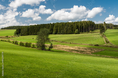 Nature landscapes with green hills at woods during summer at the East Belgian Countryside around Bullingen, Belgium