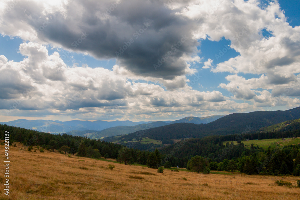 Landscape of the nature in the Vosges mountains in France. The small mountains are covered by brown meadows and green forest. The sky is blue with some clouds.