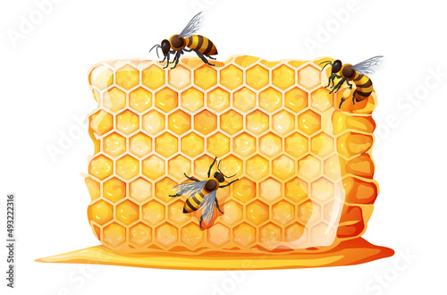 Honeycombs with bees on a white background. Delicious and healthy product. Vector illustration.