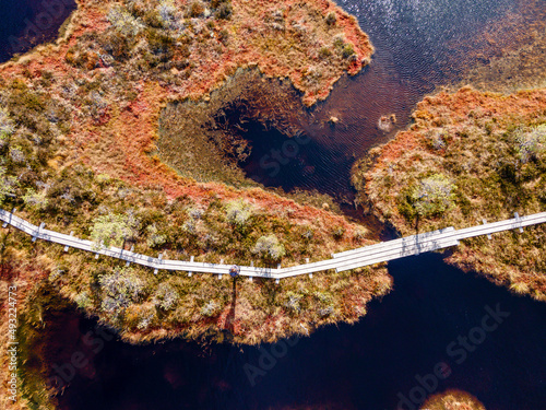 Wooden hiking trails in swamps or bog in Estonian nature reserve Kakerdaja. Drone aerial view