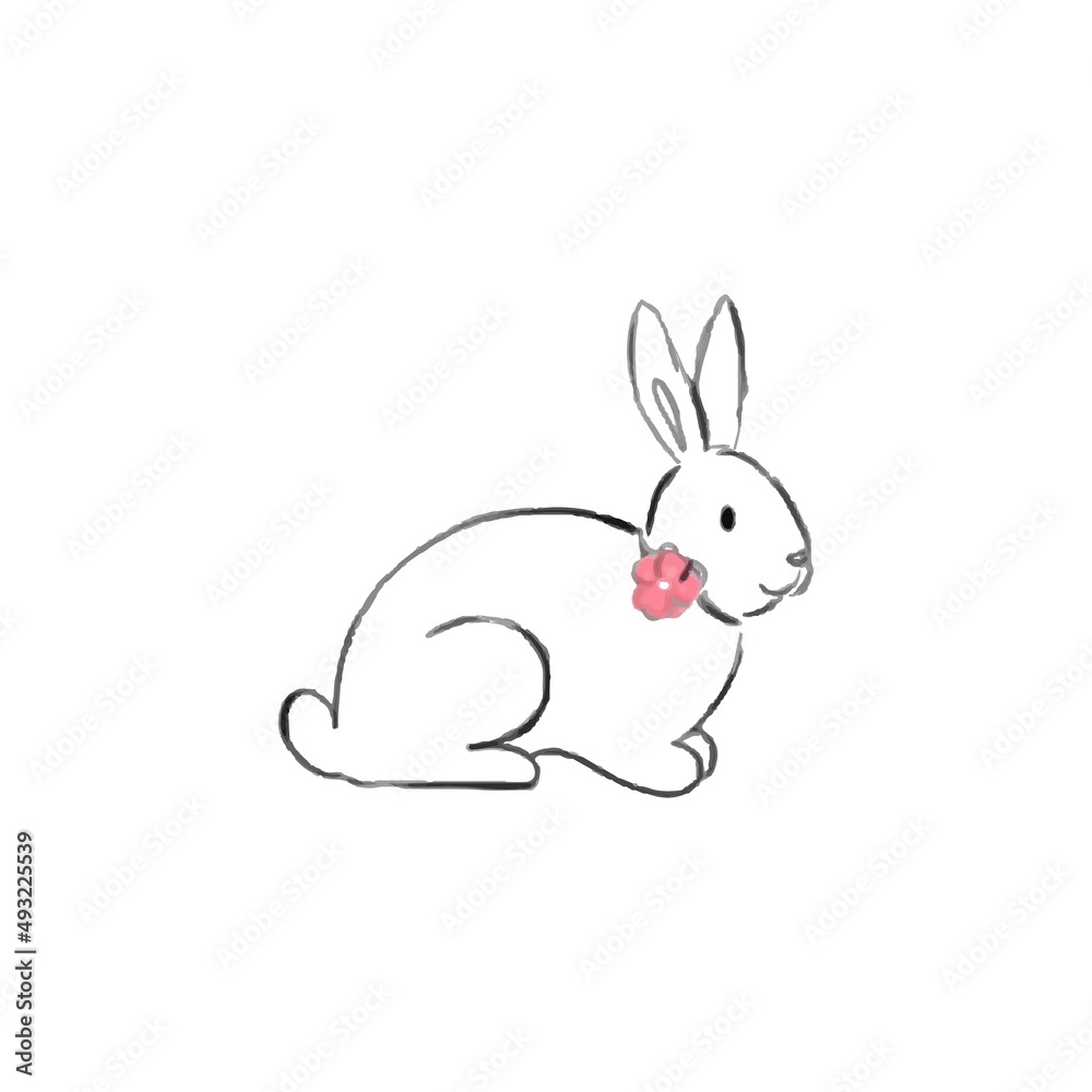 image of a rabbit on white background. image of a rabbit on white background.