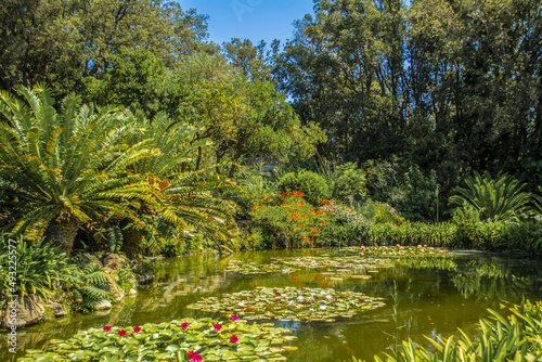 Giardini La Mortella Water and Flowers