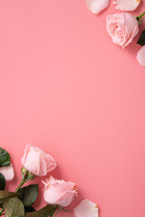 Mother's Day design concept background with pink rose flower on pink background.