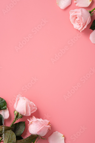Fototapeta Naklejka Na Ścianę i Meble -  Mother's Day design concept background with pink rose flower on pink background.