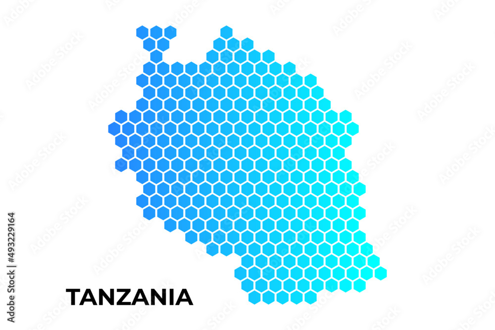 Tanzania map digital hexagon shape on white background vector illustration
