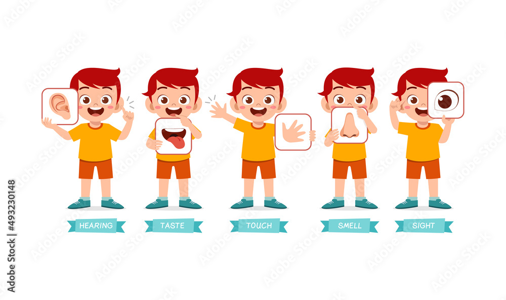 little boy holding card about 5 sensory organ