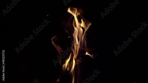 Wood burning in the fireplace. The dance of the wood flame.