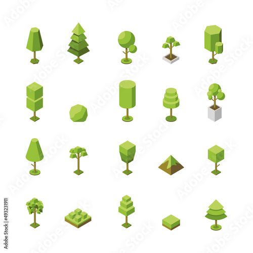 Vector set of tree isometric icons. Collection of natural botanical objects. 3d illustration of plants. The concept of depicting tree in the form of simple geometric shape. Plant for the park, garden