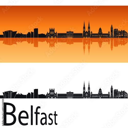 skyline in ai format of the city of belfast