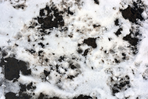 White fluffy snow covered and lies on the black earth, field, garden.  © Daria Katiukha