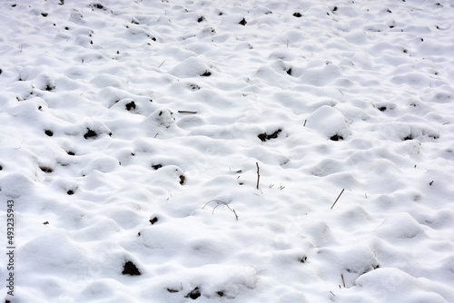 White fluffy snow covered and lies on the black earth, field, garden. 