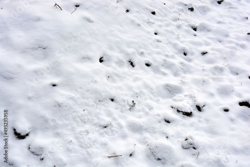 White fluffy snow covered and lies on the black earth, field, garden. 