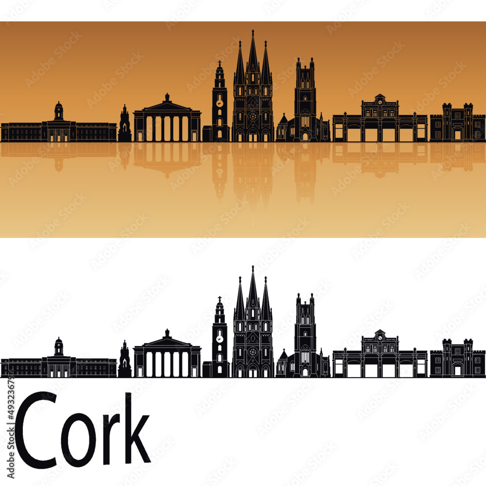 skyline in ai format of the city of  cork