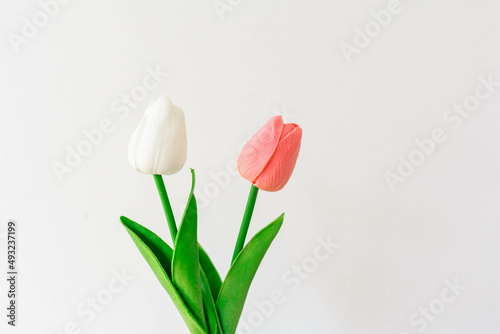 Fototapeta Naklejka Na Ścianę i Meble -  Tulips flower  on white background