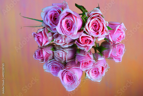 Small pink roses reflecting in a mirror