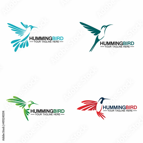 Hummingbird logo design vector template