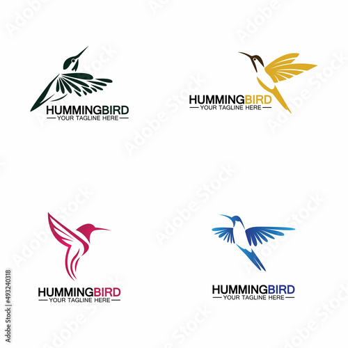 Hummingbird logo design vector template