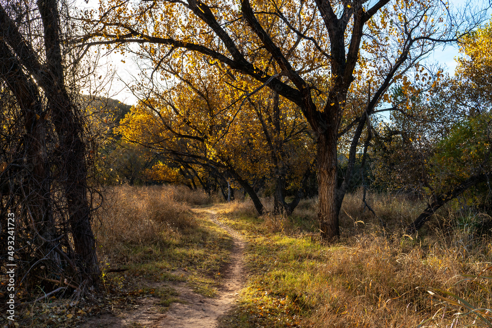 A tree lined walking path in a grassy field with fall colors, mountains in the distance and clear blue sky, Palo Duro State Park, Texas A tree lined walking path in a grassy field with fall colors, mountains in the distance and clear blue sky, Palo Duro State Park, Texas