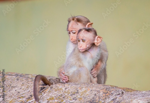 parent and baby