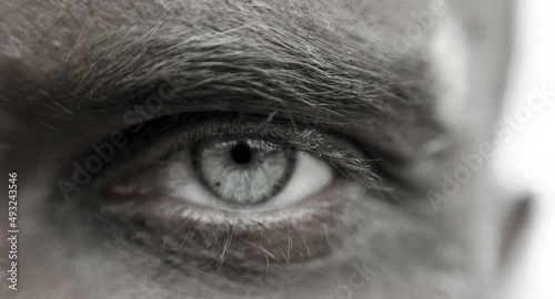 War, guy prisoners, refugees