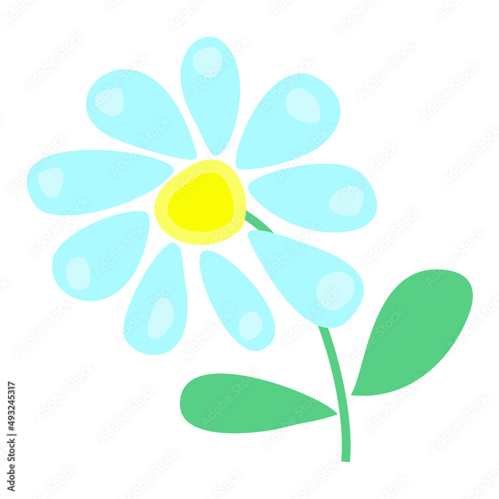 Chamomile. Flowers. Vector drawing. Illustration. Garden and vegetable garden Chamomile. Flowers. Vector drawing. Illustration. Garden and vegetable garden