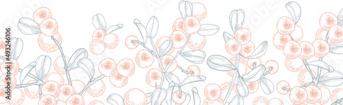 Lingonberries Hand Drawn Botanical Frame or Border