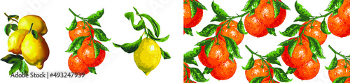 Fototapeta Naklejka Na Ścianę i Meble -  Graphical hand-drawn fruits, lemons, oranges. Vector.