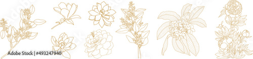 Set of graphical golden hand drawn summer  spring flowers. Vector.