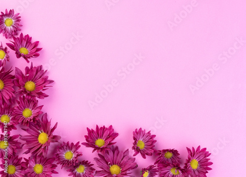 Purple flowers over pink background with copy space