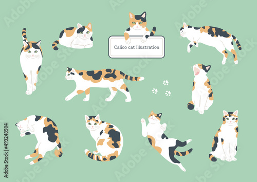 A set of cute cats in the style of handwritten illustrations. Flat color simple style design.