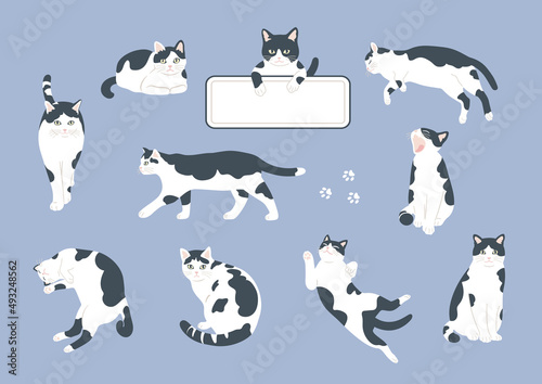 A set of cute cats in the style of handwritten illustrations. Flat color simple style design.