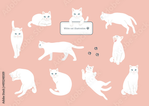 A set of cute cats in the style of handwritten illustrations. Flat color simple style design.