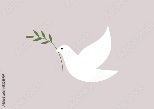 A dove of peace holding an olive branch, a peaceful sign, no war