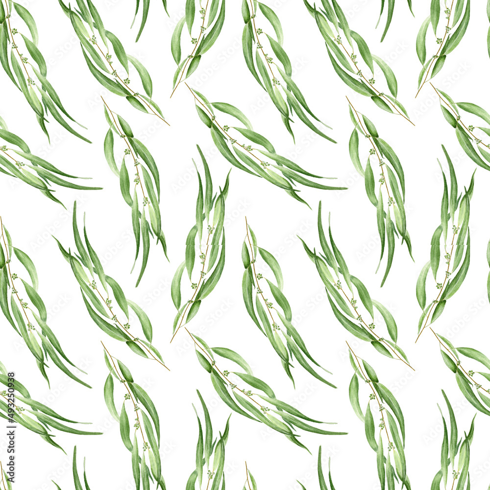 Watercolor seamless pattern with eucalyptus branches on white background Watercolor seamless pattern with eucalyptus branches on white background