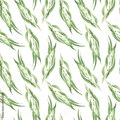 Watercolor seamless pattern with eucalyptus branches on white background