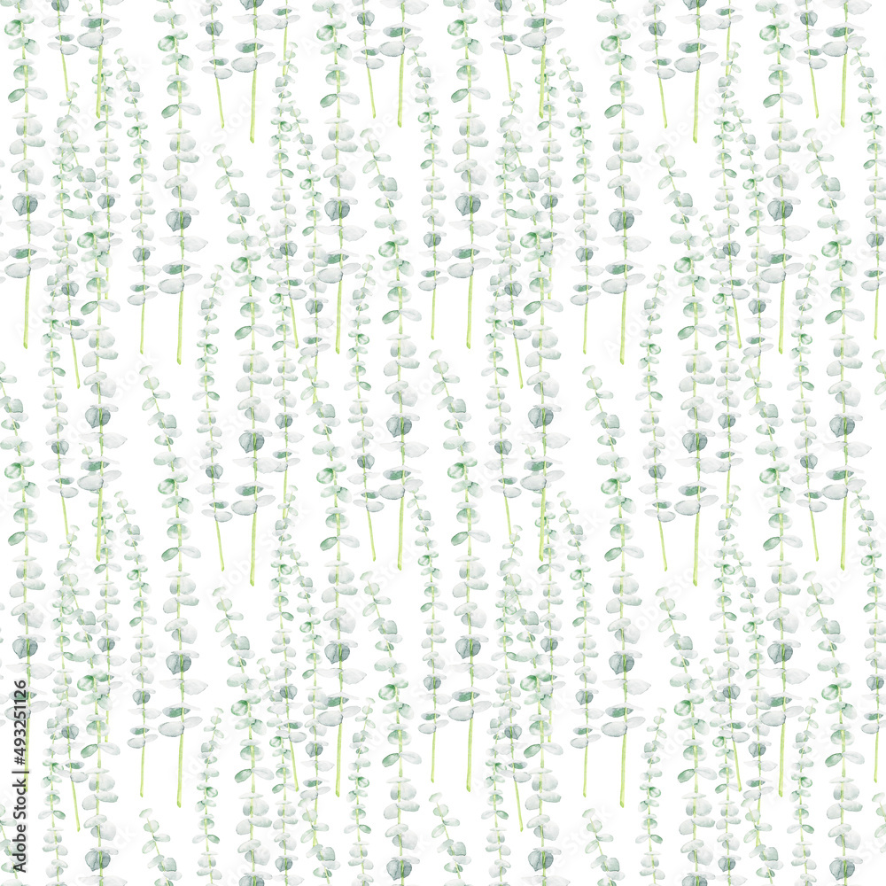 Watercolor seamless pattern with eucalyptus branches on white background