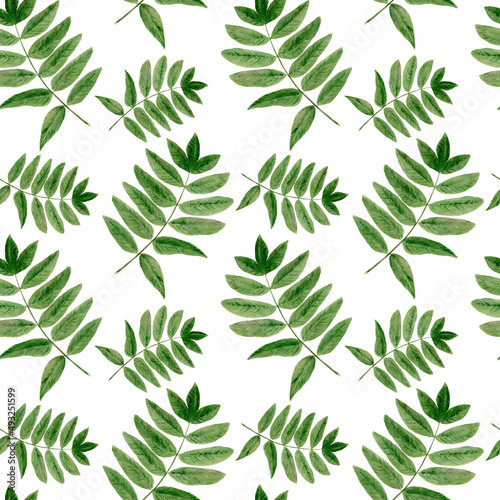 Watercolor seamless pattern with leaves on white background