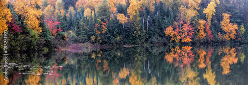 Panorama spectacular fall color scene alongside a lake with reflections in the water. Brilliant orange, red, yellow and green colors adorn this lake in Northern Wisconsin.