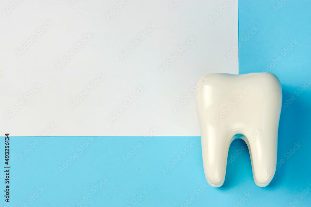 White tooth model on blue background with copy space White tooth model on blue background with copy space