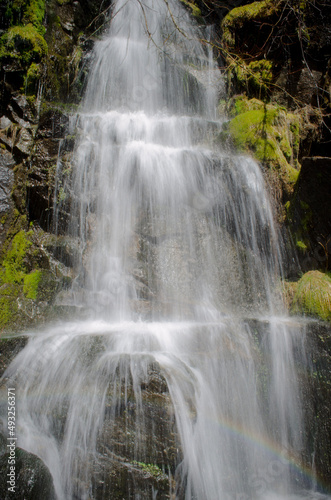 waterfall in the park