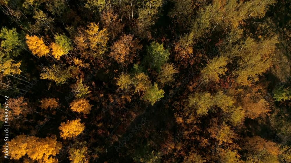 Looking down while flying over a colorful autumn forest of trees. Looking down while flying over a colorful autumn forest of trees.