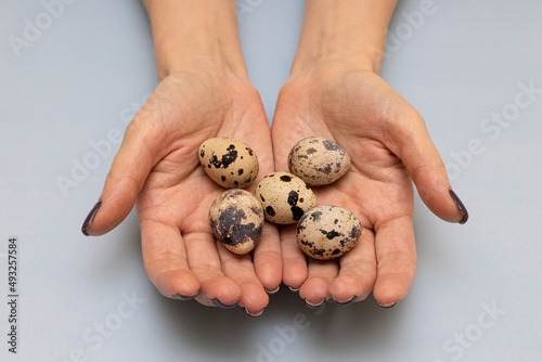 quail egg lies in the palms of a woman