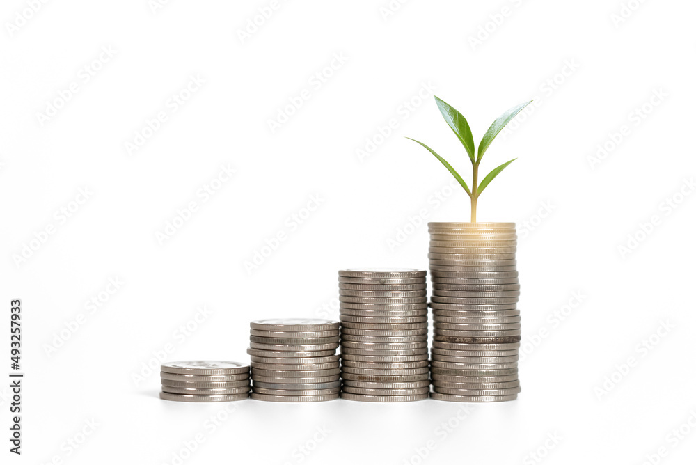 Saving money in jars and plant represent the growing more amount - isolated. Saving money in jars and plant represent the growing more amount - isolated.