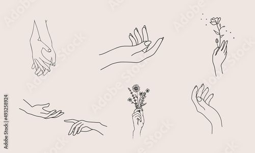 A set of Woman's hand icon collections in a minimal linear style. Vector logo design templates with different hand gestures, Crystal. For cosmetics, beauty, tattoo, Spa, feminine, jewelry store