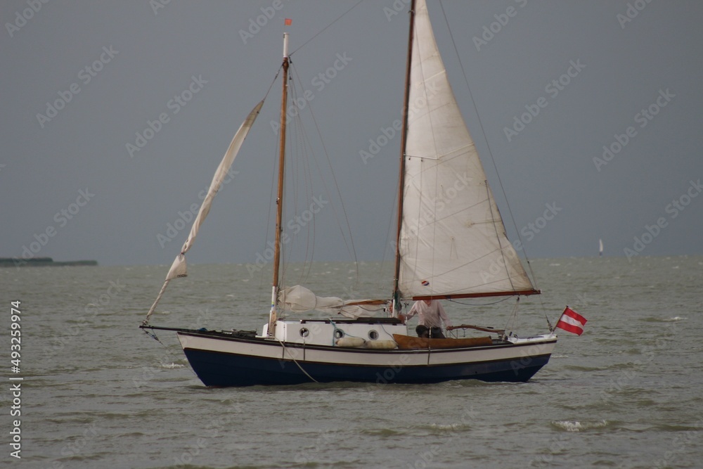 sailboat on the river