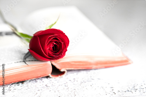 Vintage book with red rose, traditional gifts  for Sant Jordi, the Saint Georges Day in Catalunya. Also this day is World Book Day. photo