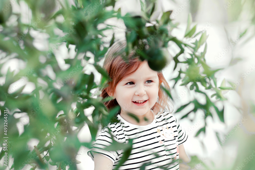 Cute toddler girl walking in garden with citrus trees. Cute toddler girl walking in garden with citrus trees.